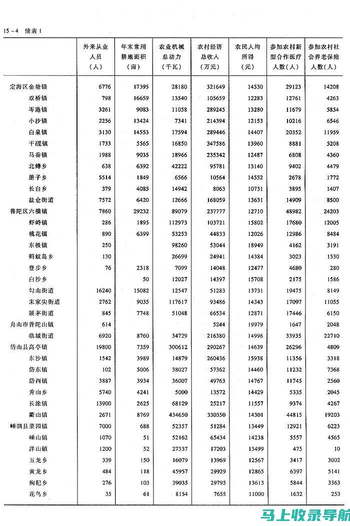 乡镇统计站站长在推动地方经济发展中的角色与贡献